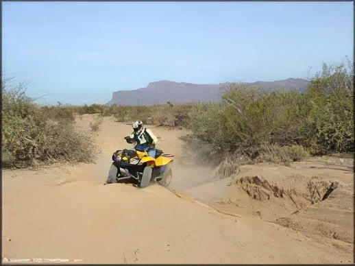 Arizona